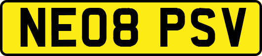 NE08PSV
