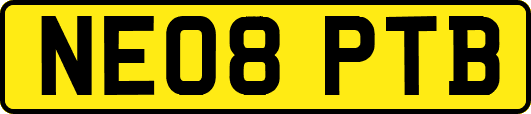NE08PTB