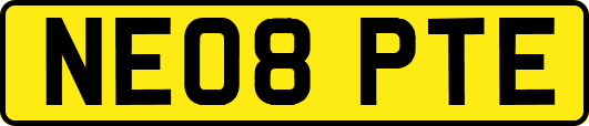 NE08PTE