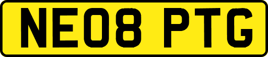 NE08PTG