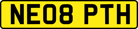 NE08PTH
