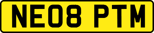 NE08PTM