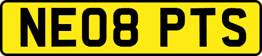 NE08PTS