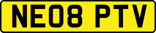 NE08PTV