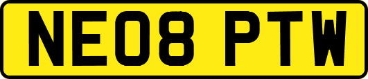 NE08PTW