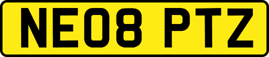 NE08PTZ