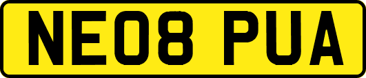 NE08PUA