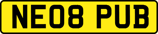 NE08PUB