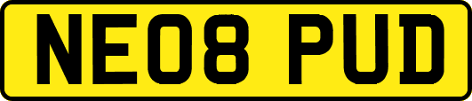 NE08PUD