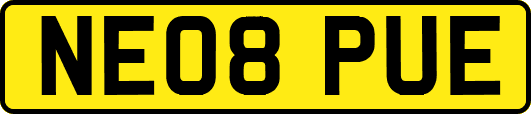 NE08PUE