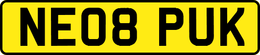 NE08PUK