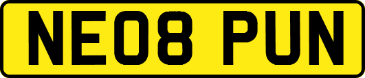 NE08PUN