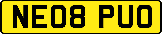 NE08PUO