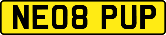 NE08PUP