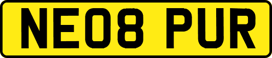 NE08PUR