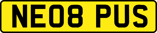 NE08PUS