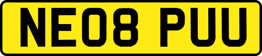 NE08PUU