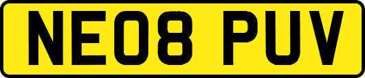 NE08PUV