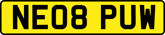 NE08PUW