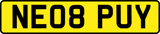 NE08PUY