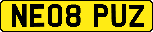 NE08PUZ