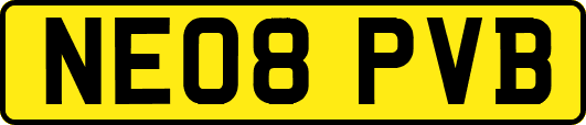 NE08PVB