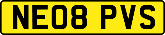 NE08PVS