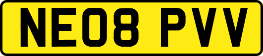NE08PVV