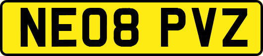 NE08PVZ