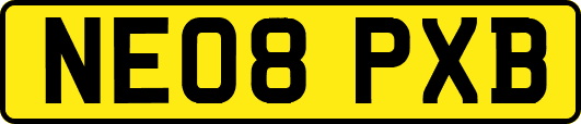 NE08PXB
