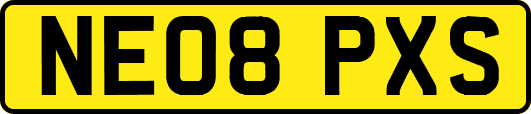 NE08PXS