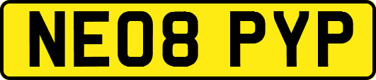 NE08PYP