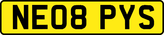 NE08PYS