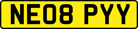NE08PYY