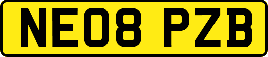 NE08PZB