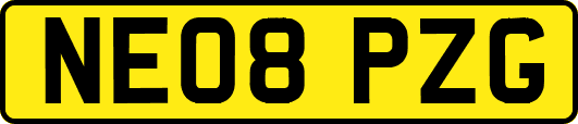 NE08PZG