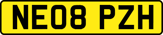 NE08PZH