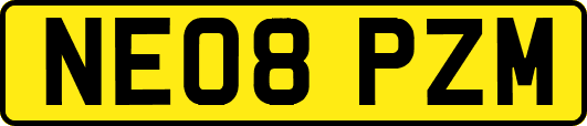 NE08PZM