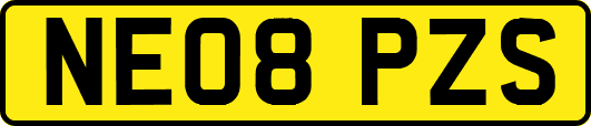 NE08PZS
