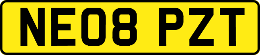 NE08PZT