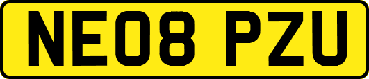 NE08PZU