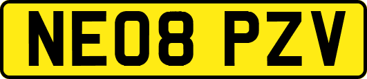 NE08PZV