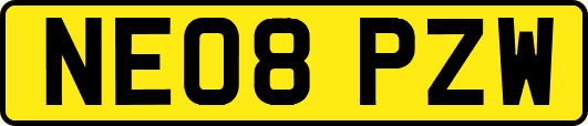NE08PZW