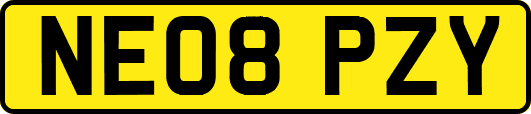 NE08PZY