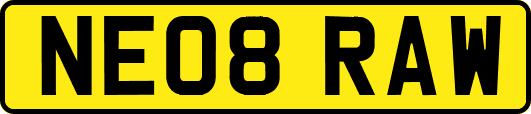 NE08RAW