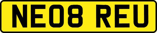 NE08REU
