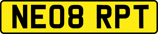 NE08RPT