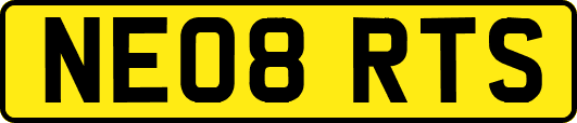 NE08RTS
