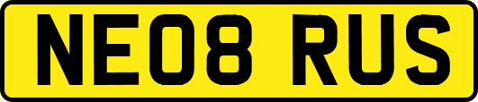 NE08RUS