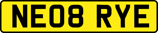 NE08RYE